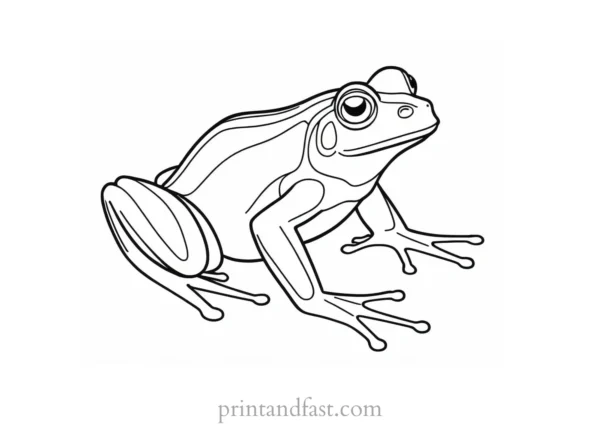 frog coloring page printable