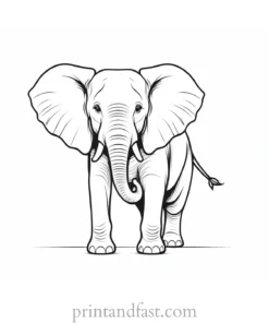 funny elephant coloring page