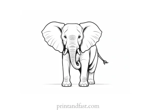 funny elephant coloring page