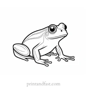 funny frog coloring page