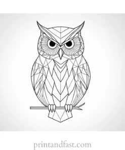 geometric owl coloring page