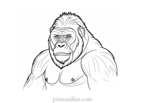 gorilla Coloring Page for Kids