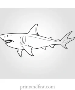 great white shark coloring page