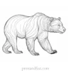 grizzly Bear Coloring Page