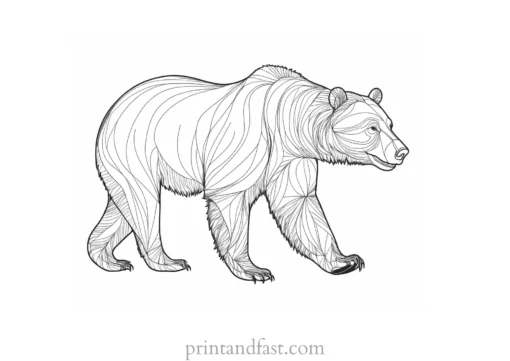 grizzly Bear Coloring Page