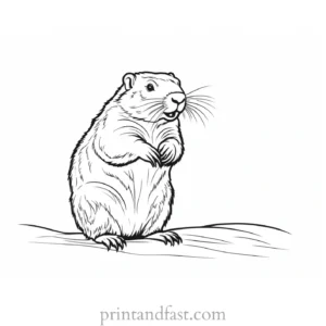 groundhog coloring page DIY