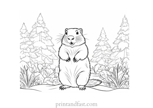 groundhog coloring page activity