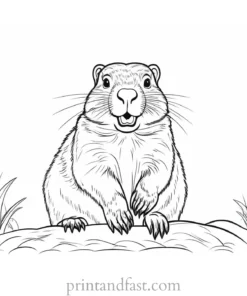 groundhog coloring page cute