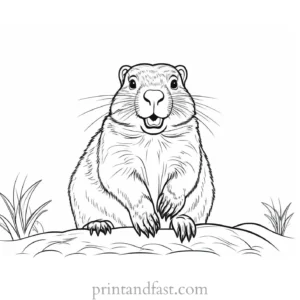 groundhog coloring page cute