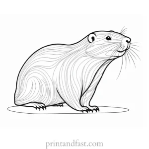 groundhog coloring page fun