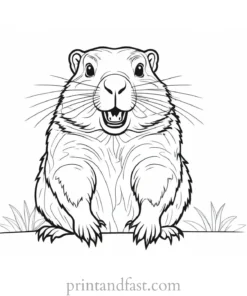 groundhog coloring page simple