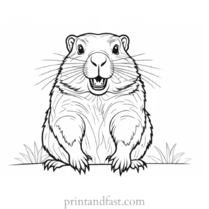 groundhog coloring page simple