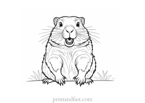 groundhog coloring page simple