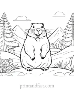 groundhog coloring page weather