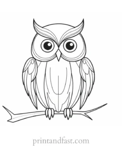 halloween owl coloring page