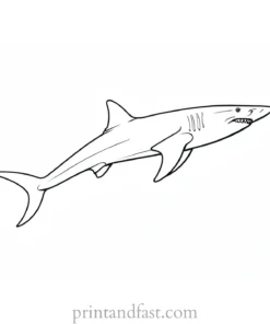 hammerhead shark coloring page