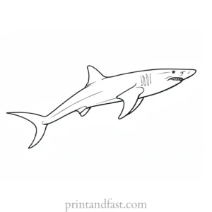 hammerhead shark coloring page