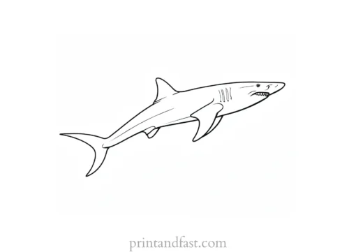 hammerhead shark coloring page