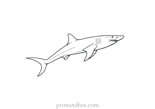 hammerhead shark coloring page