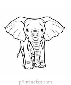 happy elephant coloring page