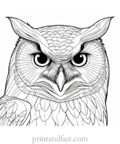 hard owl coloring page