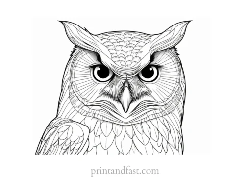 hard owl coloring page