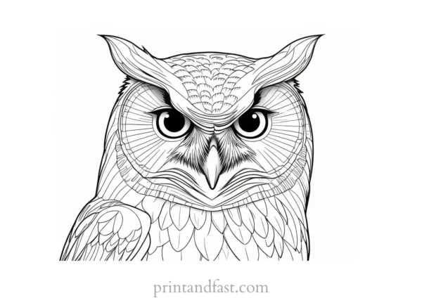 hard owl coloring page