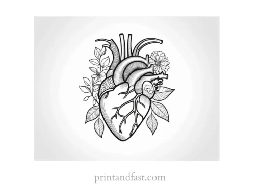 heart coloring page floral