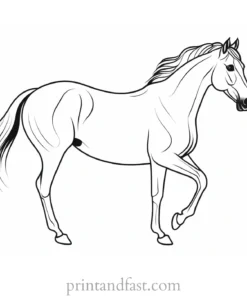 horse coloring page educational