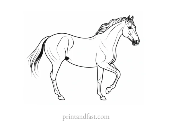 horse coloring page educational