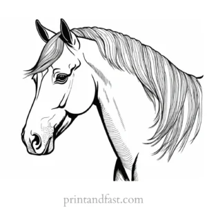 horse coloring page for adults