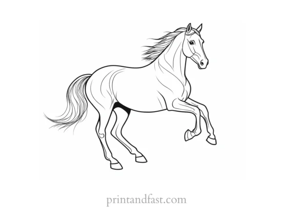 horse coloring page for kids