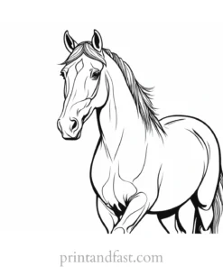 horse coloring page fun