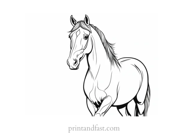 horse coloring page fun