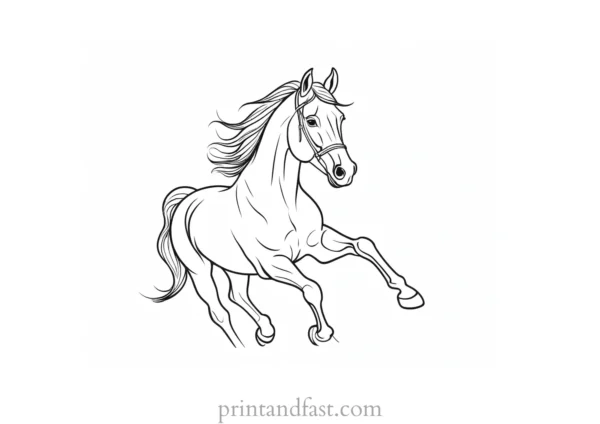 horse coloring page online