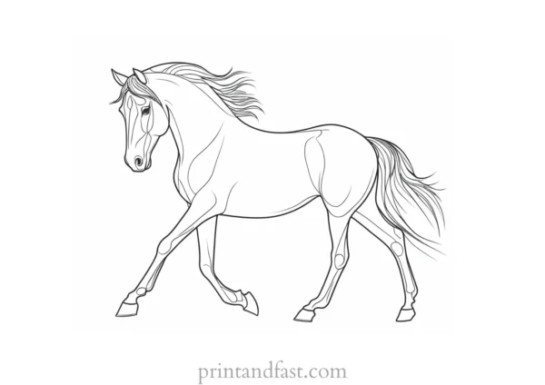 horse coloring page printable