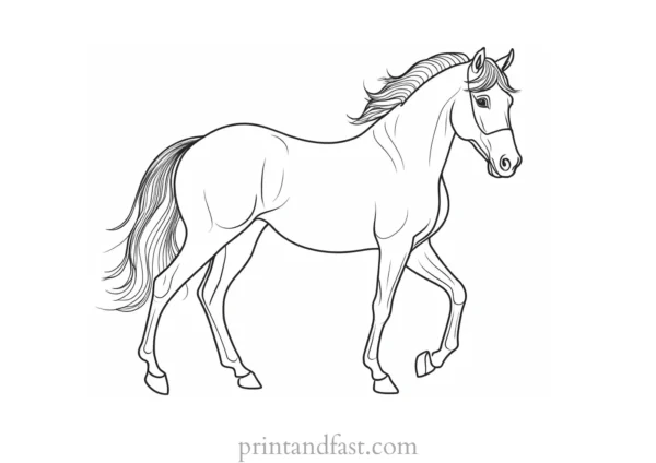 horse coloring page simple