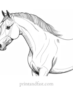 horse coloring page with background