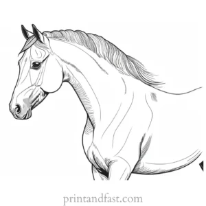 horse coloring page with background