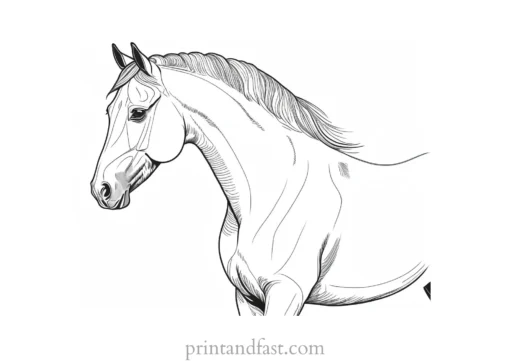 horse coloring page with background