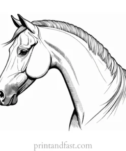 horse coloring page with border