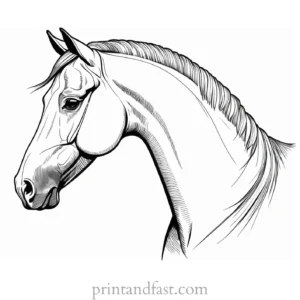 horse coloring page with border