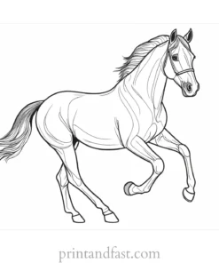 horse coloring page with instructions