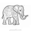 indian elephant coloring page