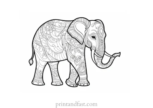 indian elephant coloring page