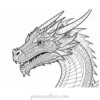 intricate dragon coloring page