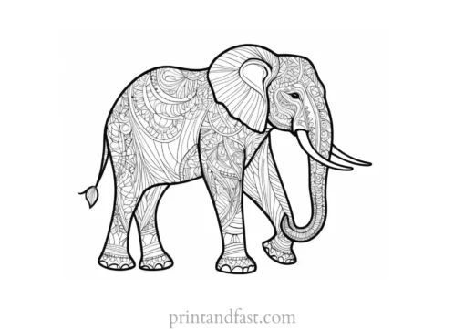 intricate elephant coloring page