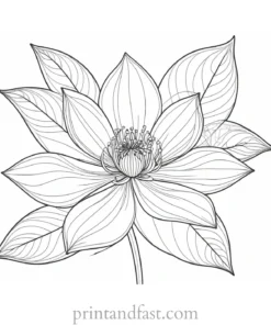 intricate flower coloring page