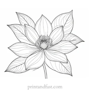 intricate flower coloring page