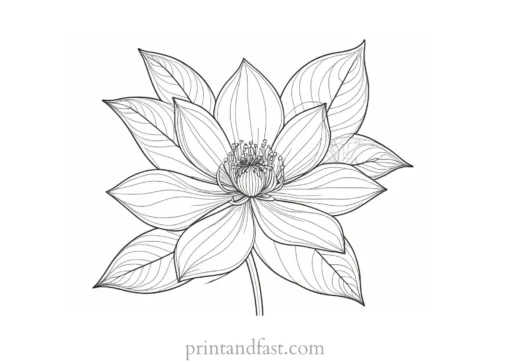 intricate flower coloring page